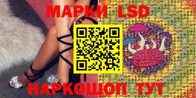 СК Жуковский