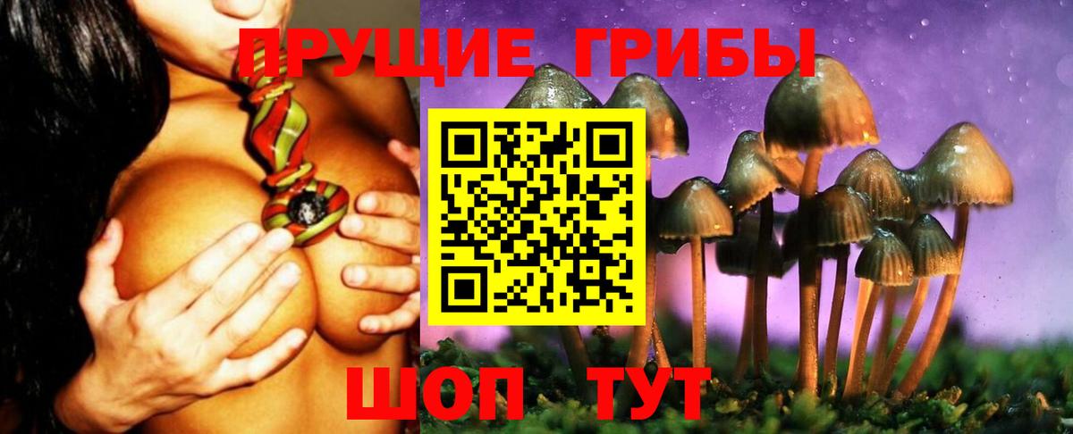 Феодосия  Галлюциногенные грибы Psilocybine cubensis  наркошоп  Вход с VPN  Галлюциногенные грибы ЛСД 